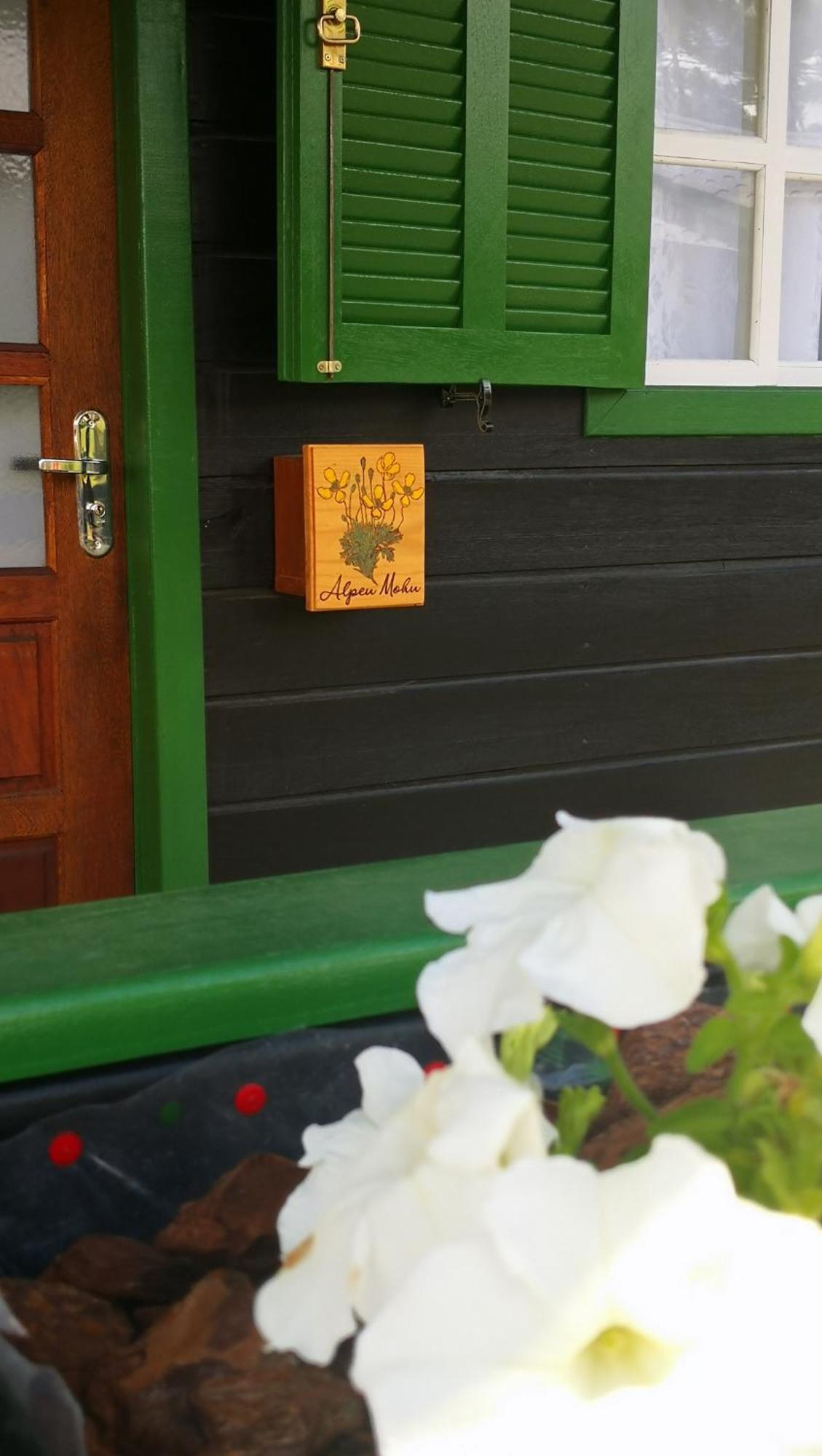 Refugio Alpenblumen Apartment Urubici Cameră foto